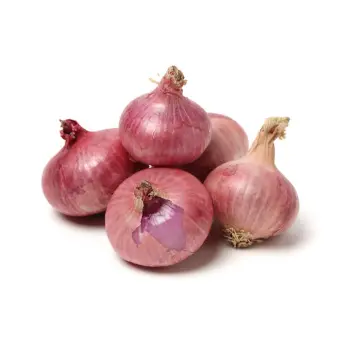 onion (14)-2566417-32147.webp